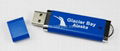 usb flash drive 1