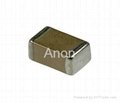 Ceramic capacitor 5