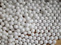 Zirconium 95 Zirconia Media/Yttria Stabilized, ceramic ball Φ0.3-0.4mm 5