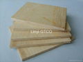 commercial full birch plywood