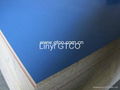 good quality blue plywood made in China 1