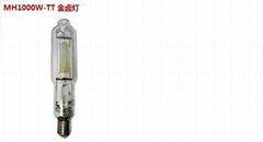 Metal Halide Lamp 