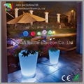 Glowing Flower Pot for Gargen 2