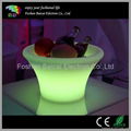 Lighted Fruit Tray