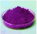 pigment violet 23