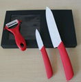 fruit knife for kitchen with ABS handle 4