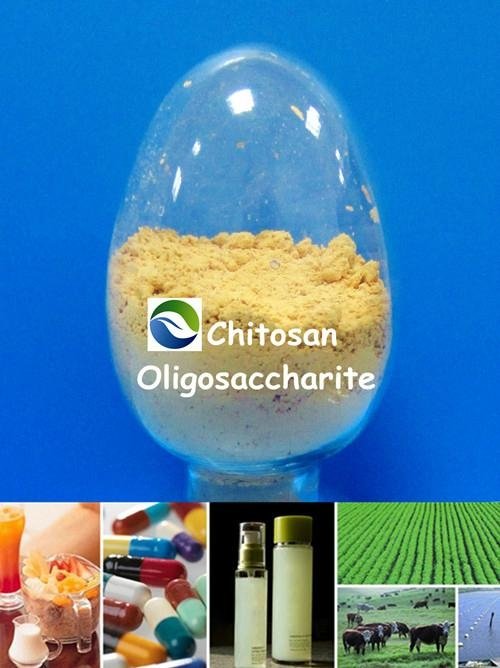 chitosan oligosaccharide
