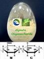 alginate oligosaccharide