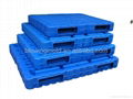 Plastic Pallet Blowing Mould