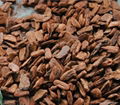 Supply Pine Bark Powder Extract