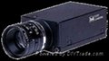 TELI Cmount CCD camera----CS8310Bi