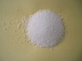 Caustic Soda 2