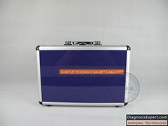 2013 Hot Sale Quantum Analyzer