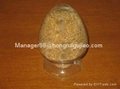 Pearl animal bone glue with reasonable price 4