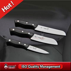 Hygienic and extremely sharp ceramic knife set with wooden block