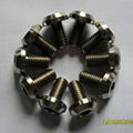 titanium bolts and nuts  1