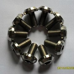 titanium bolts and nuts 