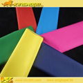 Rainbow grid PU clear coating nylon fabric 1