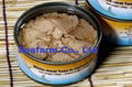 CANNED TUNA 2