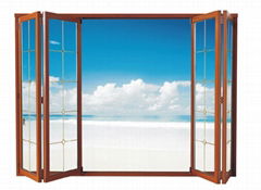 Ao    si AF65 Folding Door