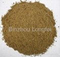 hot sale Chinese fish meal 2