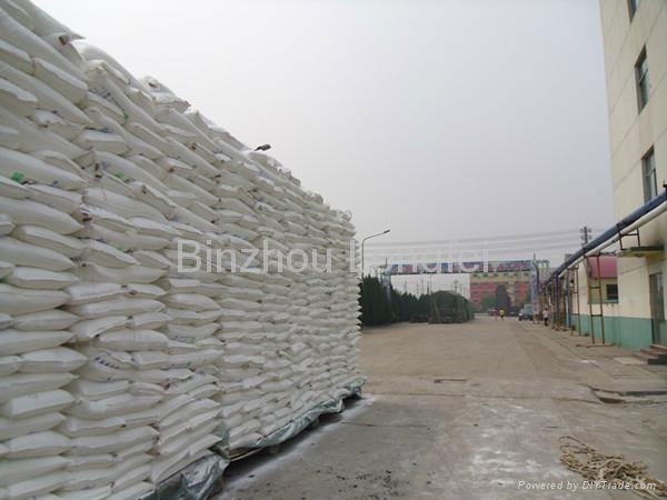 high pritein export-grade fish meal as pourtry feed   5