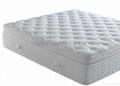 natural latex mattress