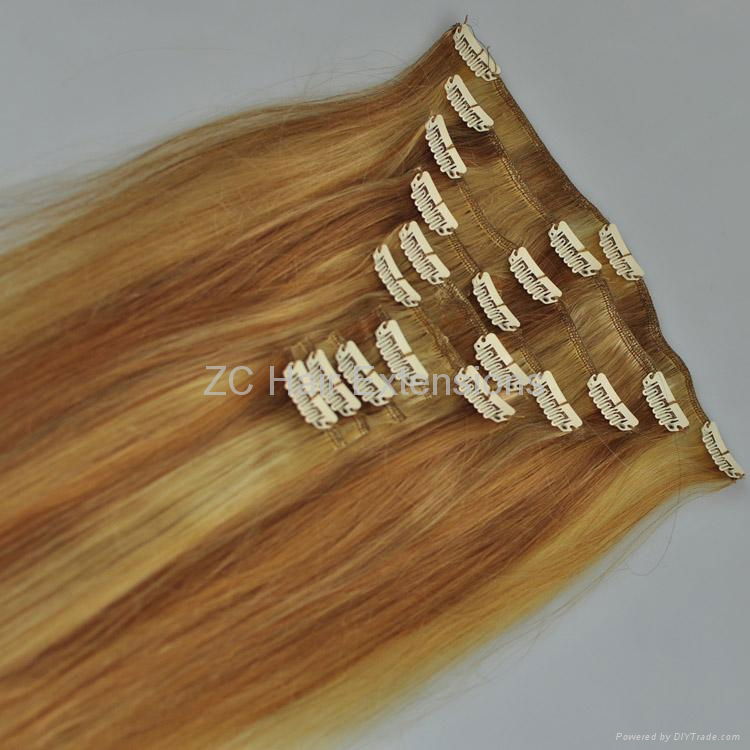8inch-40inch Clip in on Hair Extensions Brazilian and Indian Human Hair   2