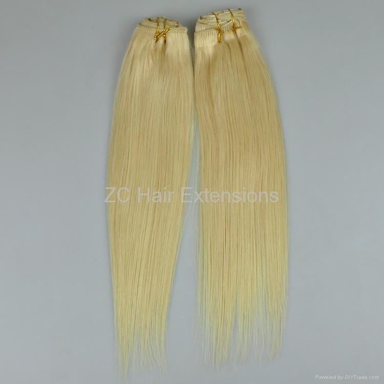 8inch-40inch Clip in on Hair Extensions Brazilian and Indian Human Hair   3