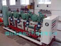 Parallel screw compressor unit