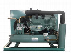 low temp air-cooled compressor unit with Bitzer 