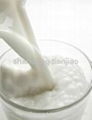 Milk replacer Fat filled milk powder 