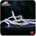 Most popular LED string light 2