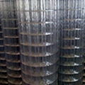 Welded Wire Mesh 4