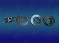 Double Spring Washers