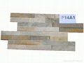 Natural Cultured Stone 2