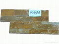 Natural Cultured Stone 4