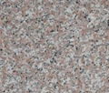 Red Granite Tiles 3