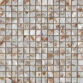 MOP SHELL MOSAIC TILE 1