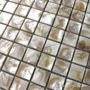 MOP SHELL MOSAIC TILE 2