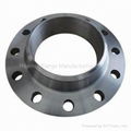 DIN2631 Welding Neck Flange