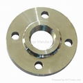 Stainless steel flange 1