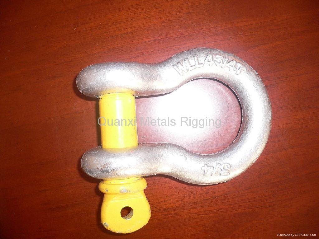 supply US type drop forged shackle