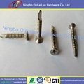 Stainless Steel Phillips Countersunk
