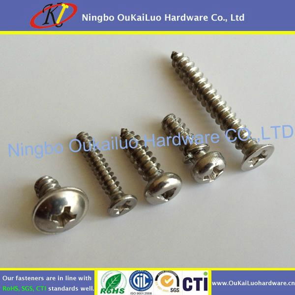 Stainless Steel Self Tapping Screws