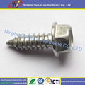 Stainless Steel Hex Head Self Tapping