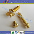 Oukailuo High Quality Brass Screw