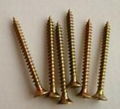 chipboard screw 1