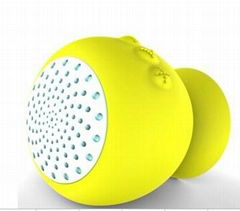 Bluetooth speaker