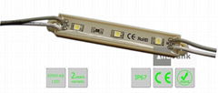 Economy LED Module Light SMD3528 0.24W